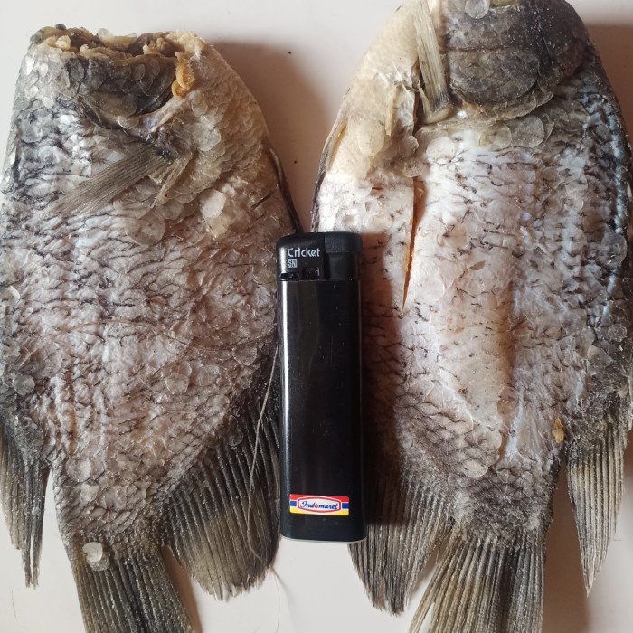 

Ikan Asin Sepat Siam Besar Jumbo 1 Kg Fresh