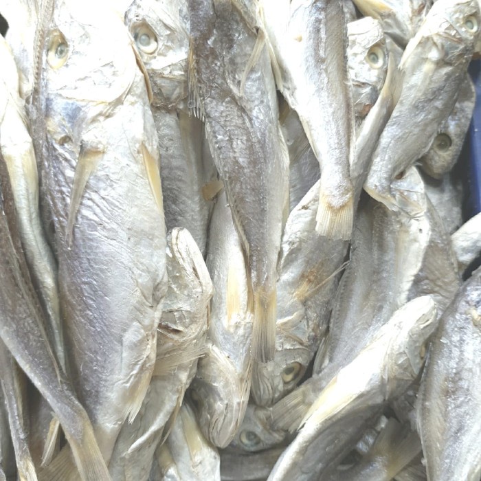 

Ikan Asin Kepala Batu Medan 1Kg/1000Gram