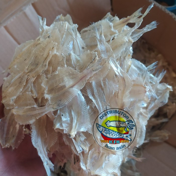 

Ikan Asin Aneka Jenis Tawar-1Kg