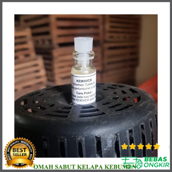Keikivick Hormon Oles Penumbuh Tunas Anggrek