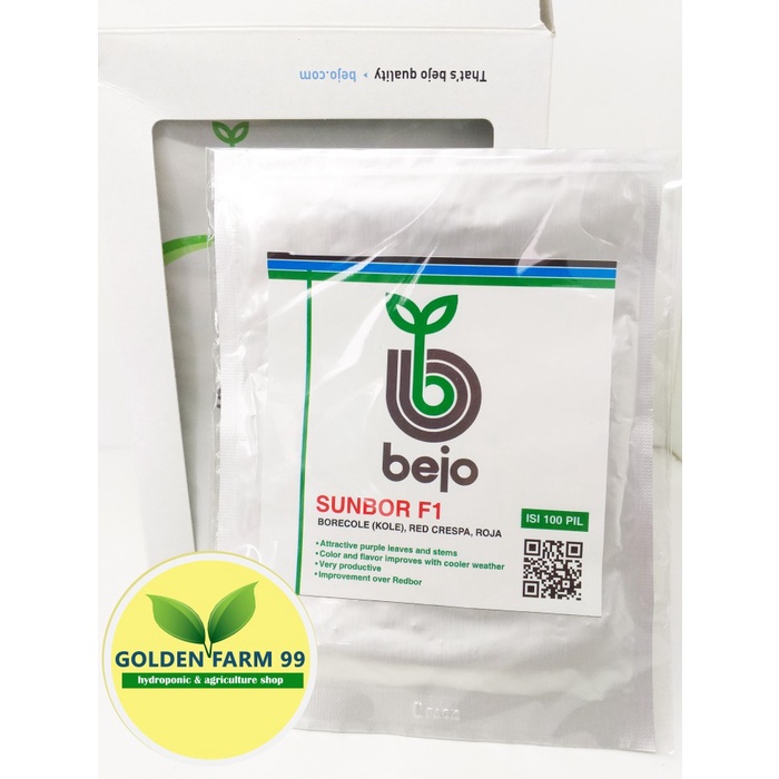Benih Kale Sunbor F1 Bejo Seed - Import