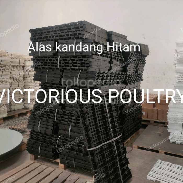 Slat Plastik Hitam Alas Kandang Plastik Domba/Ayam/Kambing/Ikan/Anjing