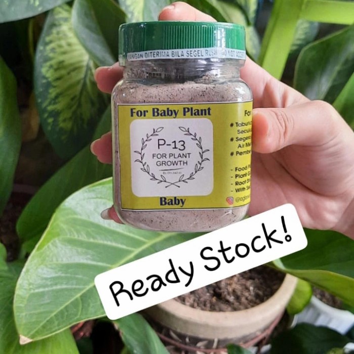 Promo Pupuk P13 Baby / Anakan Om Justin
