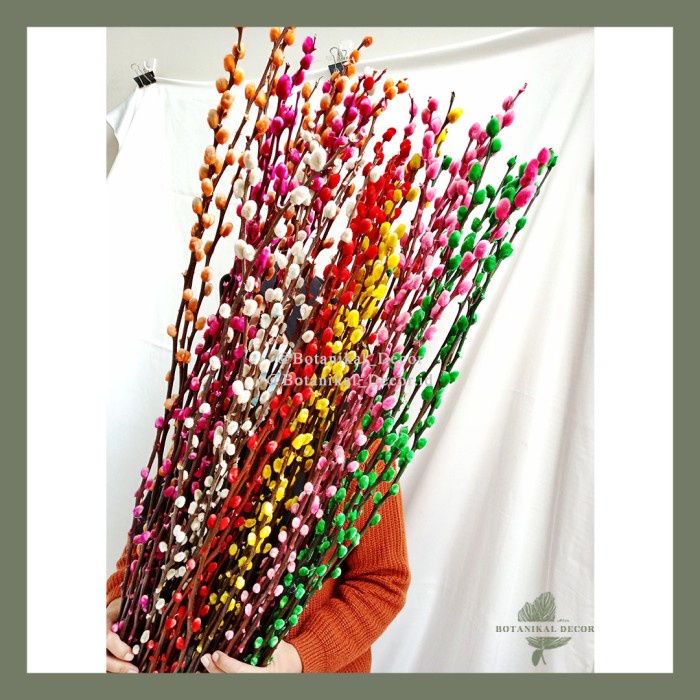 (9pcs) Dried Pussy Willow Spray Hiasan Ranting Imlek Bunga Kering Asli