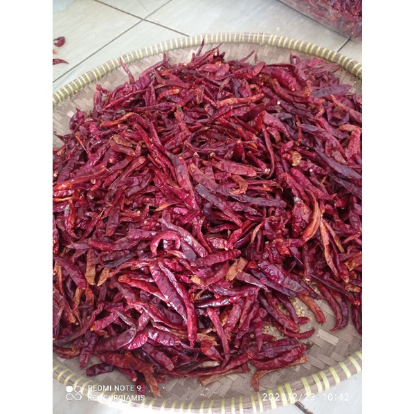 

( 5Kg ) Cabe Teja Caplak Kering Tanpa Tangkai