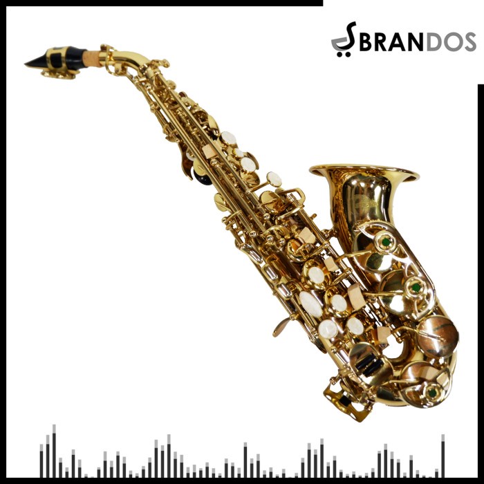 

✨Sale Saxophone Curved Baby Woodwind Orchestra Tiup Orkestra Ostrava O-6434L Terbatas