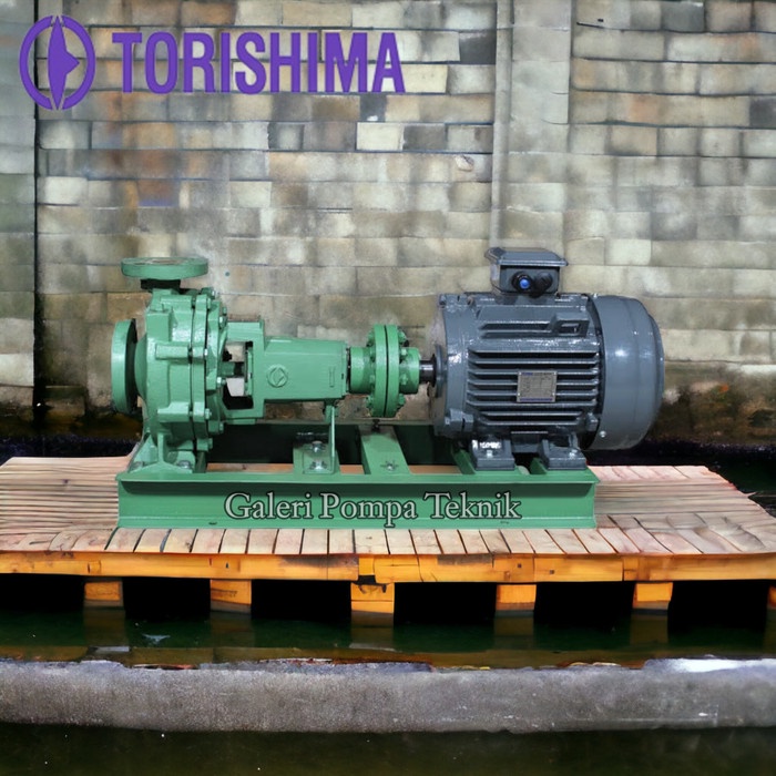 [Ori] Pompa Centrifugal Torishima Eta-N/Cen 80X65-160 Motor Teco 11Kw 15Hp Diskon