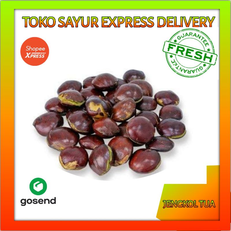 

JENGKOL TUA - SAYUR EXPRESS DELIVERY PALEMBANG