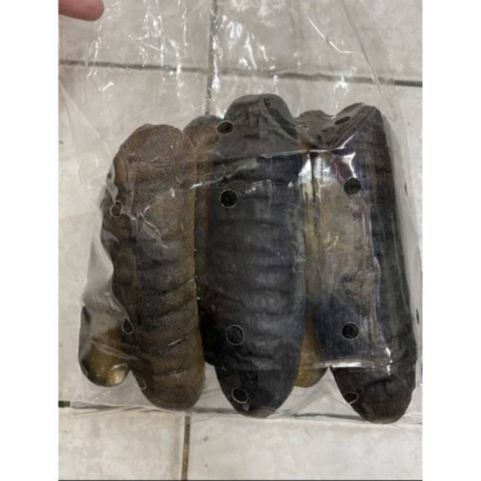 

Teripang Laut / Haisom Asli Belitung 1 Kg Isi 10