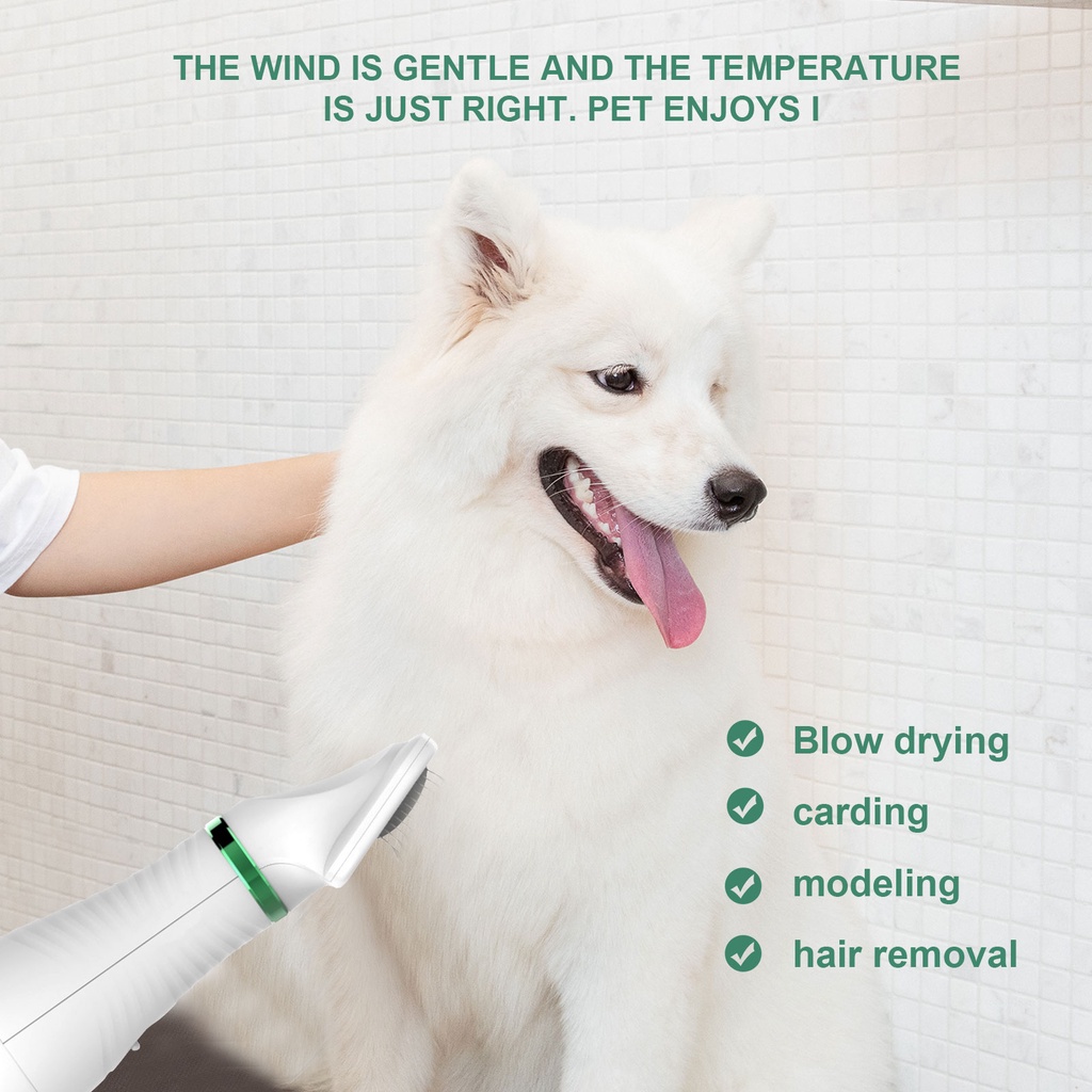 [Terbaru] Hair Dryer Kucing Grooming Alat Pengering Bulu Hewan Pengering Rambut Anjing Peliharaan