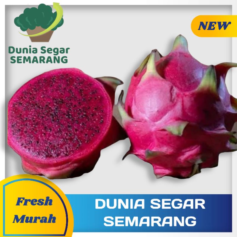 

Buah Naga Murah dan Segar Semarang 1 kg