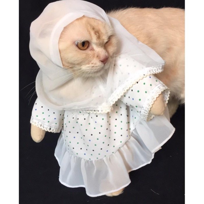 BAJU KUCING KOSTUM UKHTI / GAMIS