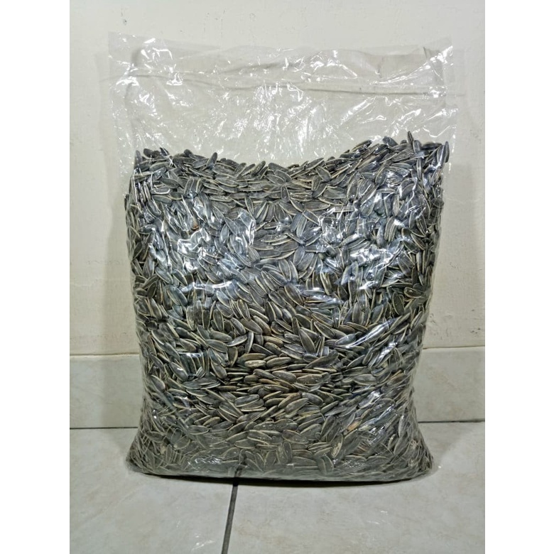 

Aci Kuaci Bunga Matahari Jumbo Asin Rasa 3 Rempah 2,5Kg