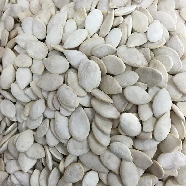 

Kuaci Putih Asin Biji Labu 500 Gram