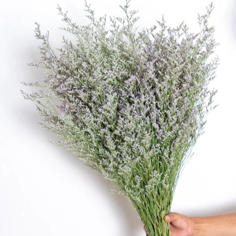 Terlaris 100 Gram Grosir Caspea Dried Flower Natural Limonium Sale