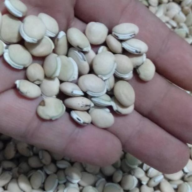 

Biji Kacang Komak 1Kg Murni