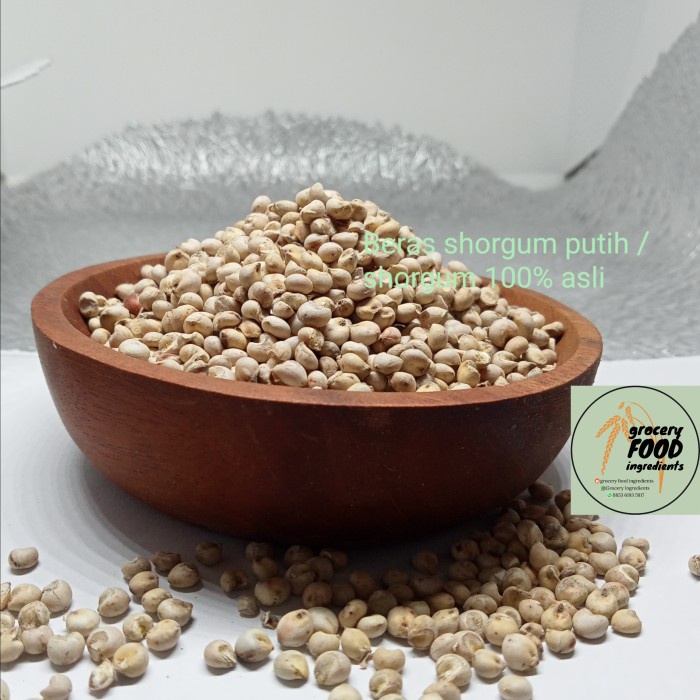 

Shorgum Putih / Shorgum