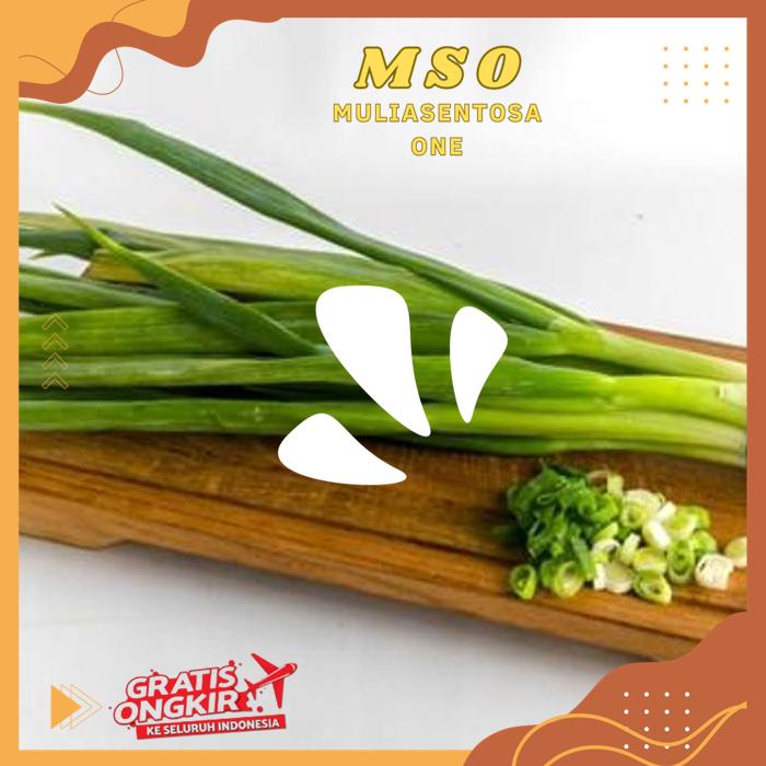 

DAUN BAWANG 125 -150 GR PRODUK BEST PRODUK !!