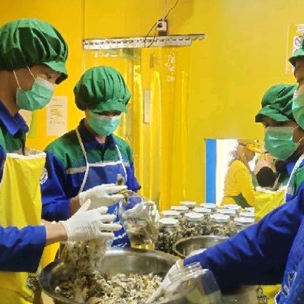 

Nafariz724 Keripik Kulit Ikan Patin Piktin Kemasan Toples Mini