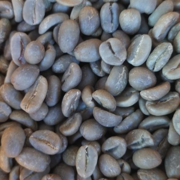 

Sale green Bean - biji kopi arabika luwak liar Aceh Gayo 1kg