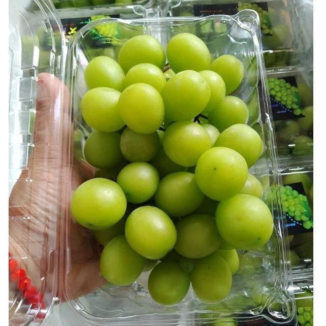 

Ready Anggur Shine Muscat 500gr (promo weekend)