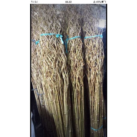 10.Batang Bambu cendani ulir Natural
