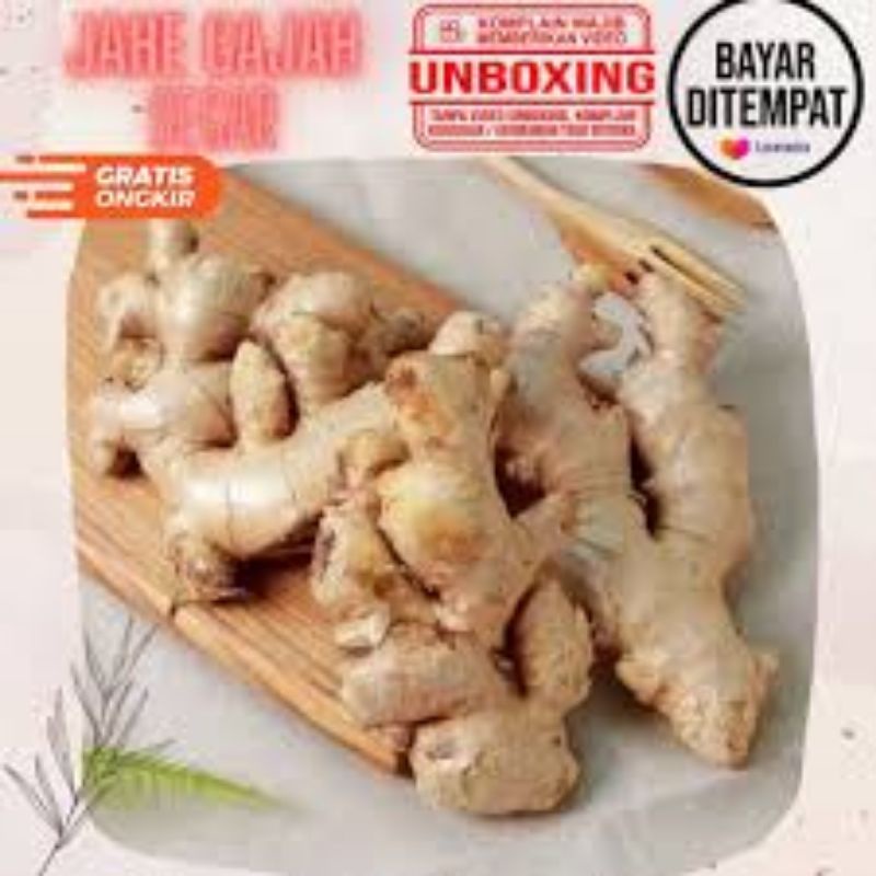 

Jahe Gajah 500gr