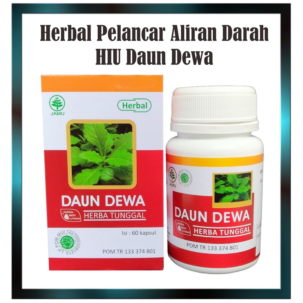 Herbal HIU Daun Dewa Khasiat : 1. Membantu mengatasi TB Paru-paru 2. Mengobati tumor dan kanker 3. M