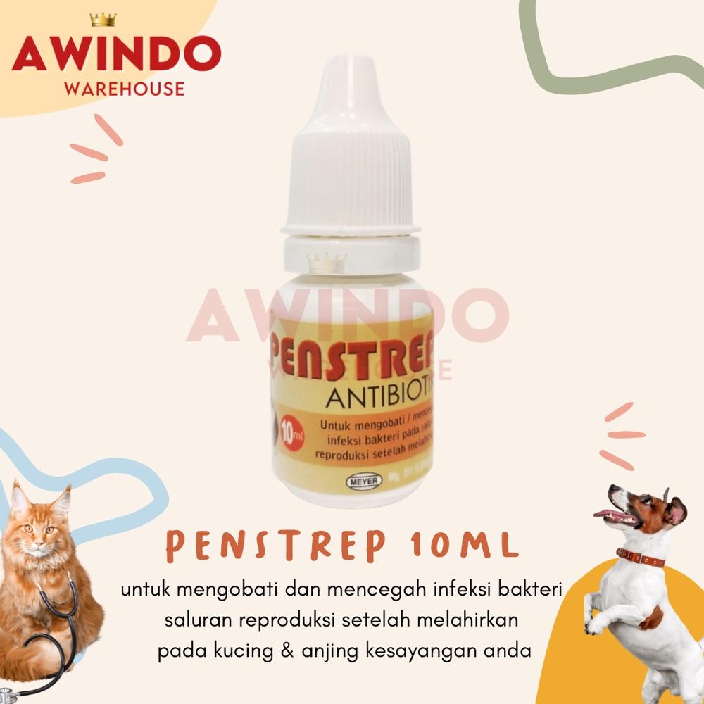 PENSTREP - Obat Antibiotik Anti Infeksi Kucing Anjing Setelah Melahirkan
