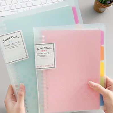 Binder Kokuyo Pastel Cookies