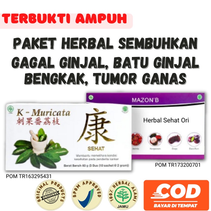 

Obat Herbal Gagal Ginjal Batu Ginjal Bengkak Mazon B dan K Muricata