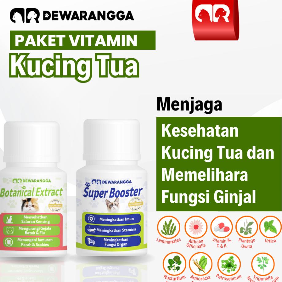 Vitan Kucing Tua Dewarangga - Obat Ginjal Kucing - Vitan Tulang Kucing - Obat Tulang Kucing