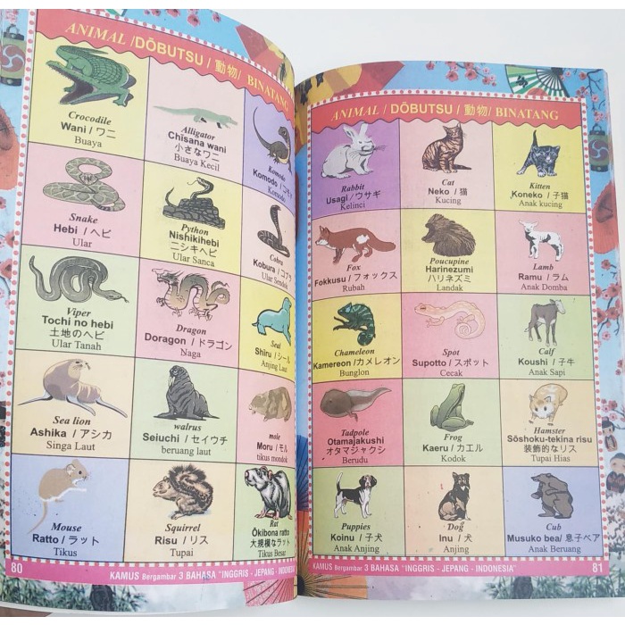 Termurah Kamus 3 Bahasa Inggris Jepang Indonesia Bergambar Berwarna Murah