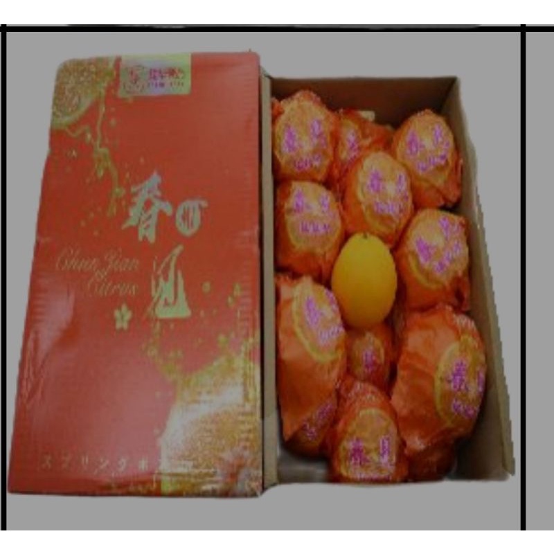 

giftpack jeruk papakan Citrus Imlek 2024