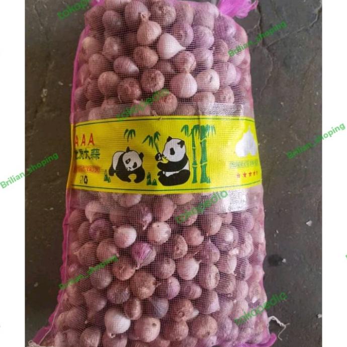 

Bawang Putih Tunggal Lanang 1 KG - KUALITAS IMPORT TERLARIS !!!