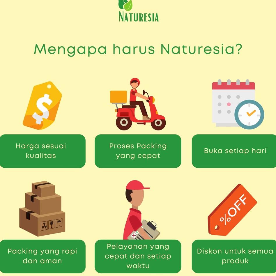 

Lemonilo Kaldu Bumbu Yedap Pelezat Rasa Ayam Kampung Jamur Sapi Mpasi Bayi Non Msg Halal Organik