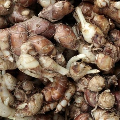 

Termurah Kencur Rempah - 250gr