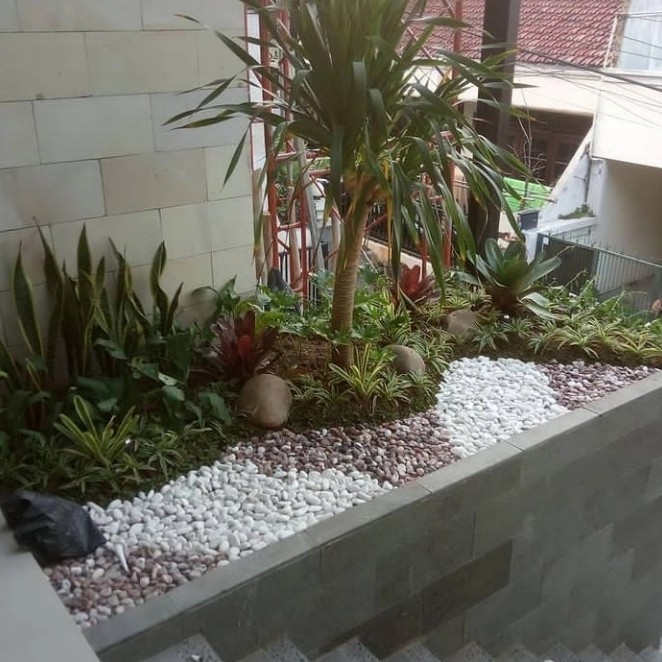 

[Baru] Bikin Taman Minimalis - Pasang Rumput Gajah Mini - Dekorasi Taman Terbatas