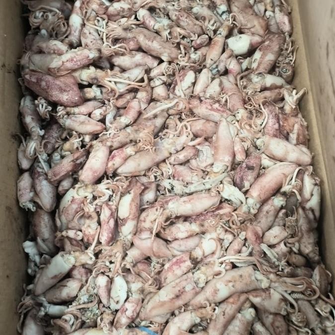 

cumi asin 1kg GM