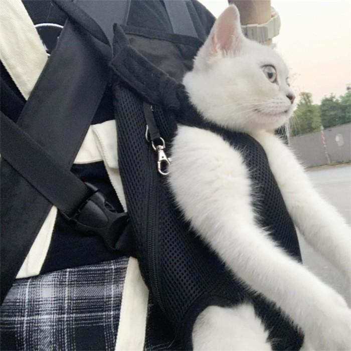 LOVIVER RANSEL PEMBAWA KUCING HEWAN PELIHARAAN STRAP BAHU TAS