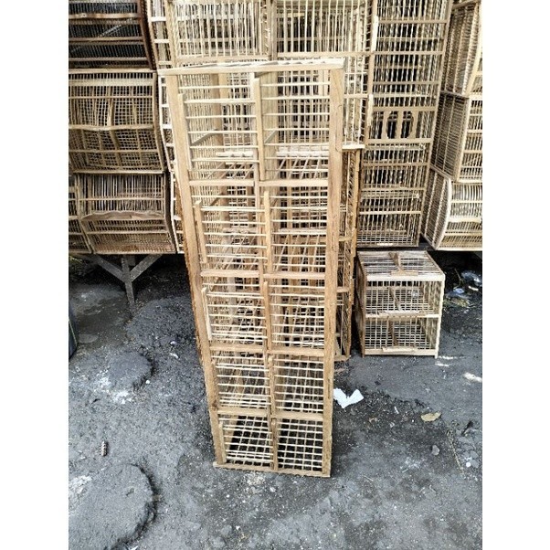 PROMO KANDANG KANDANG DONDANG BURUNG DARA MERPATI PINTU 10.