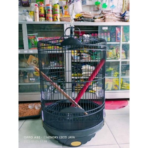 PROMO KANDANG bnr murai black reborn Pvc no.2