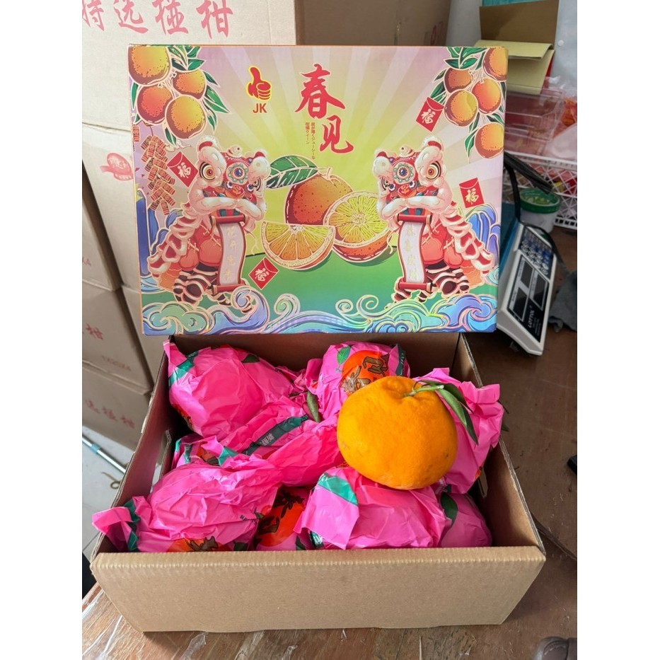 

Jeruk Dekopon Imlek Barongsai