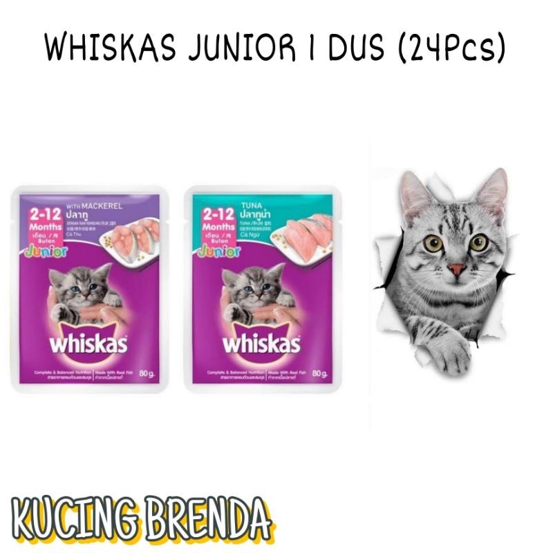 WHISKAS JUNIOR 1 DUS BOX All Varian Kitten Makanan Basah