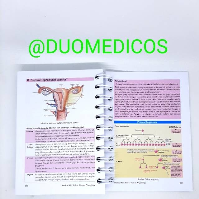 Buku Human Physiology / Buku Saku Fisiologi / MMN Fisiologi / Buku Kedokteran Fisiologi