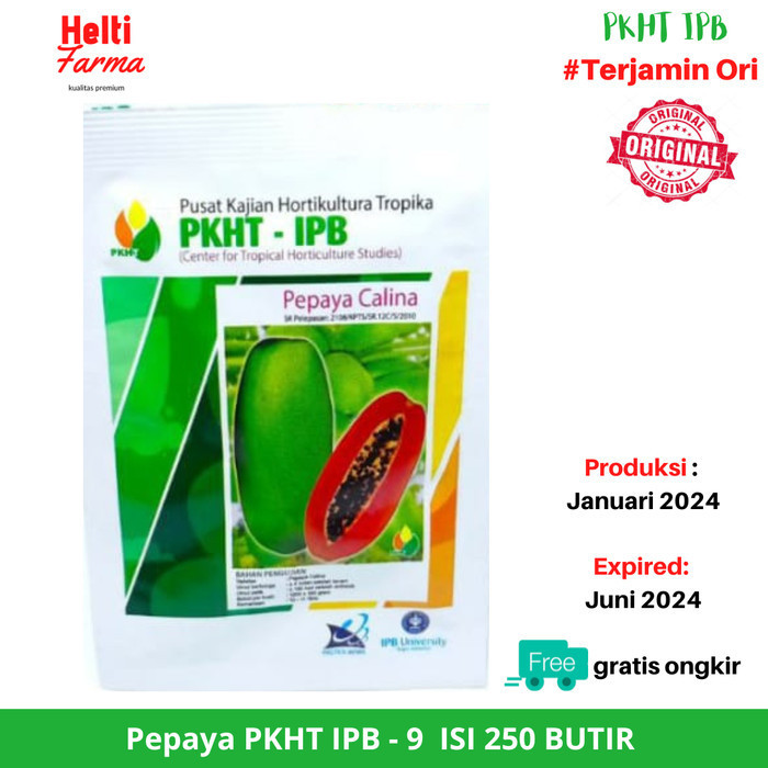 Terlaris Benih Pepaya Calina/California Ipb 9 Pkht-(250Butir) Promo Terbaru