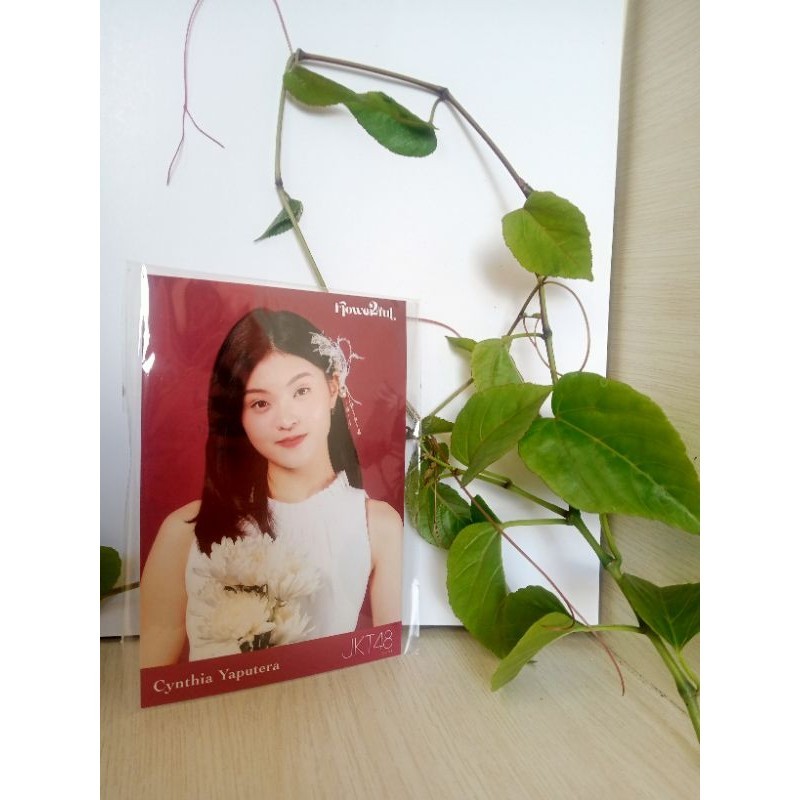 Photopack JKT48 CYNTHIA