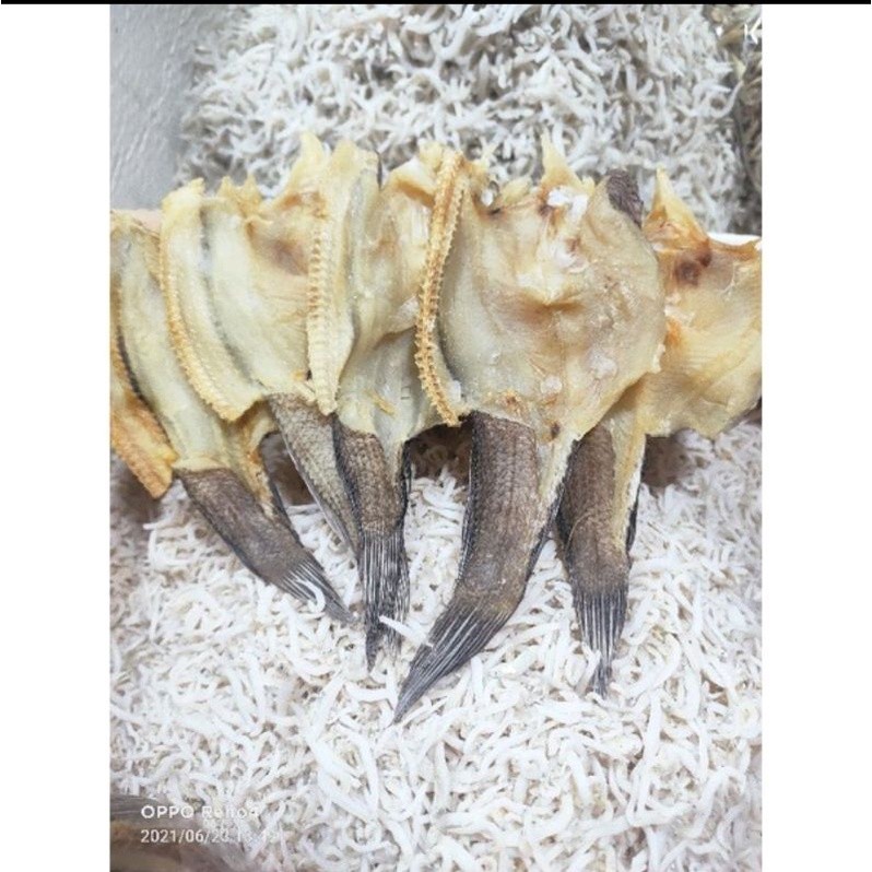 

Ikan Asin Gabus 250gr JAC