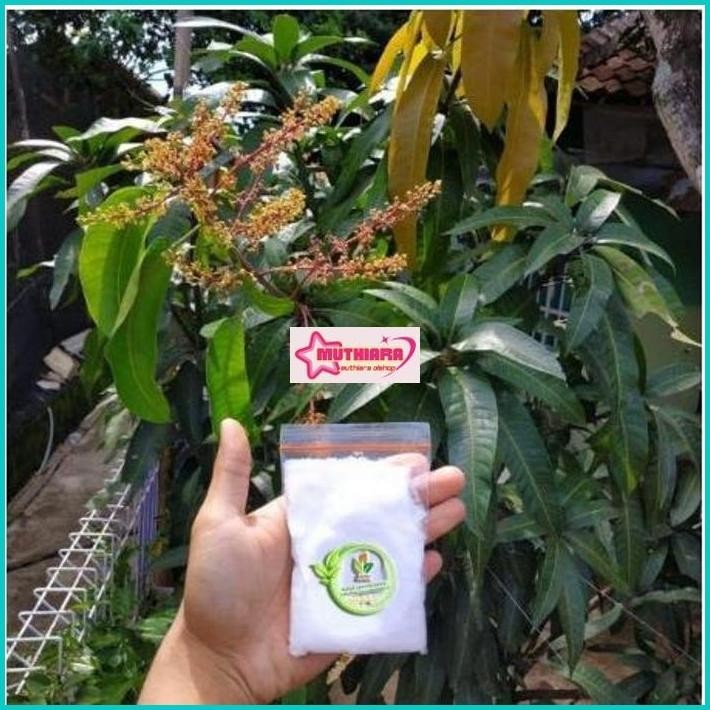 Pupuk Buah Agro isi 100gram
