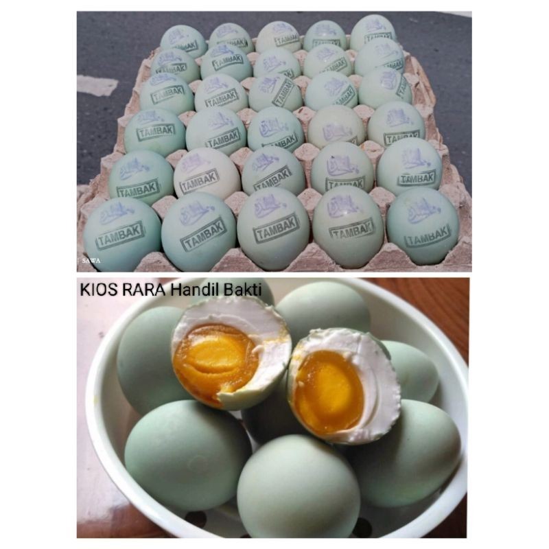

TELOR ASIN Bebek Tambak khas Kalimantan Selatan.